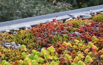 the cost of Sodylt Bank green roof installation